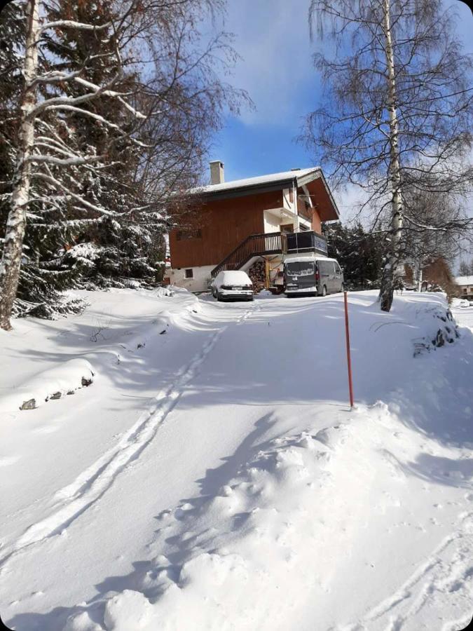 Fontcouverte-la-Toussuire Chalet Spacieux Et Convivial La Toussuire מראה חיצוני תמונה